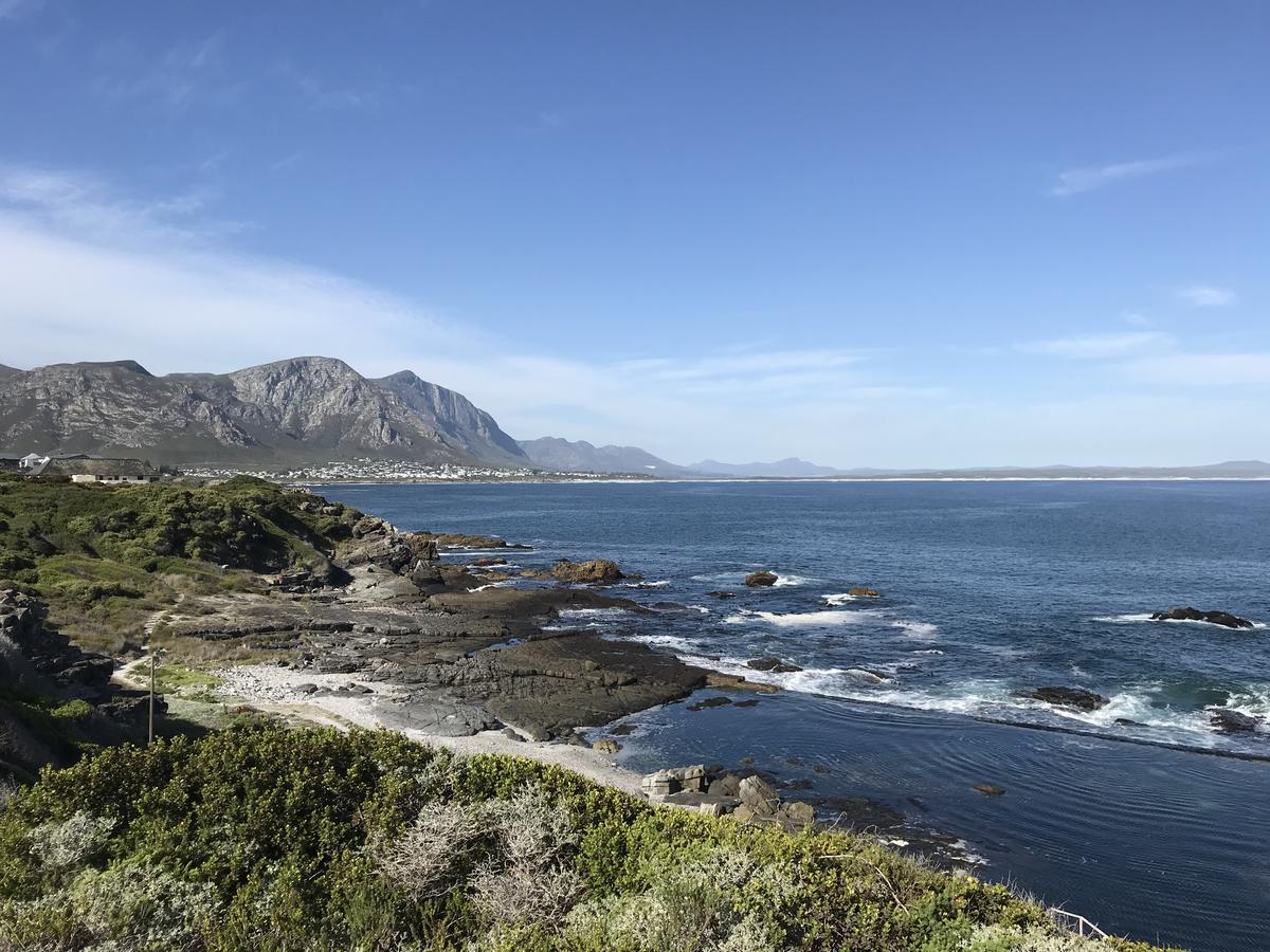 Francolin Manor Bed and Breakfast Hermanus Εξωτερικό φωτογραφία