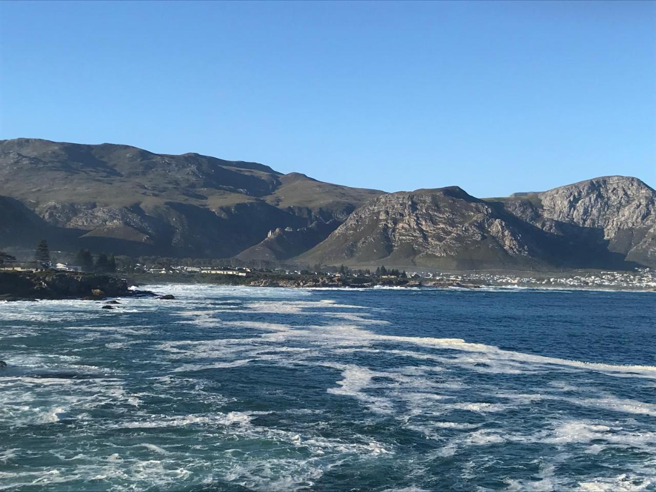 Francolin Manor Bed and Breakfast Hermanus Εξωτερικό φωτογραφία