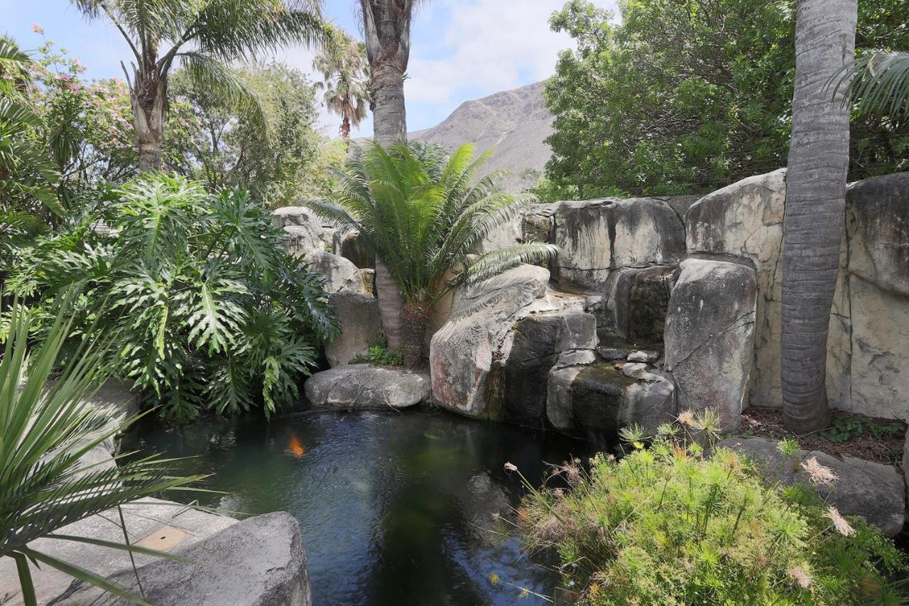 Francolin Manor Bed and Breakfast Hermanus Εξωτερικό φωτογραφία