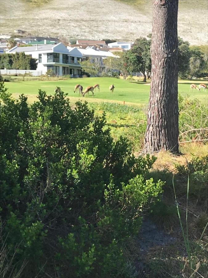Francolin Manor Bed and Breakfast Hermanus Εξωτερικό φωτογραφία