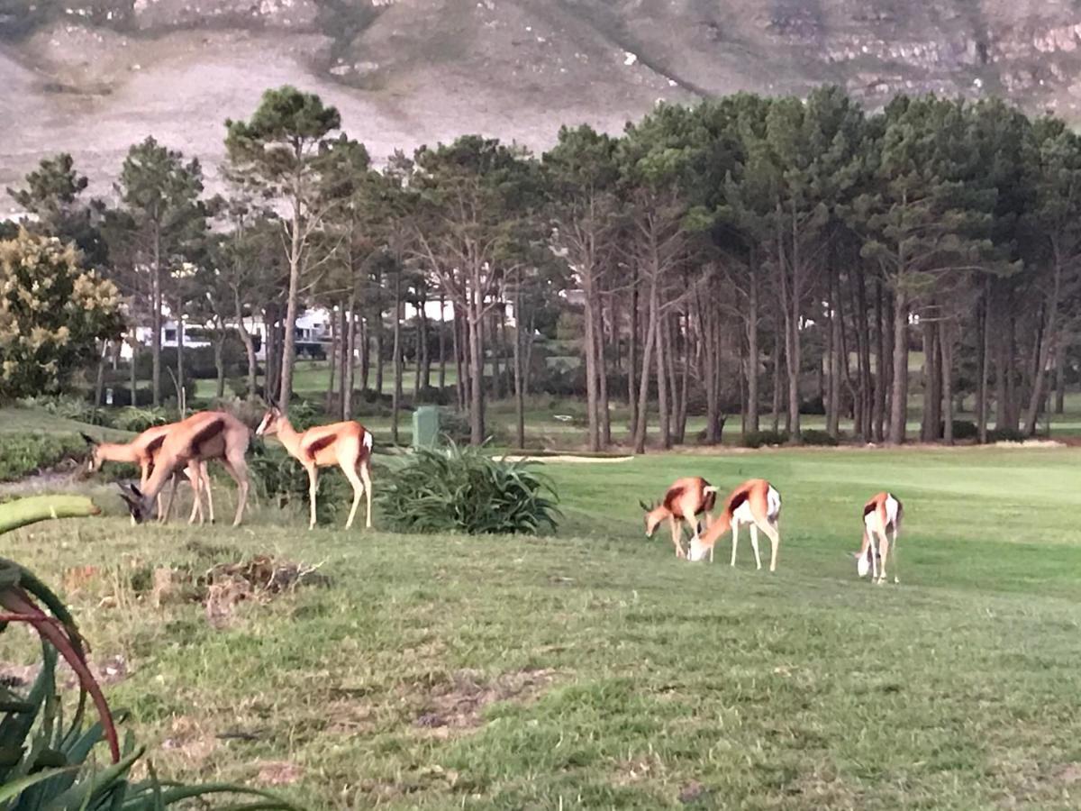 Francolin Manor Bed and Breakfast Hermanus Εξωτερικό φωτογραφία